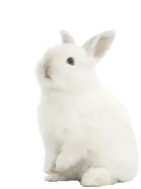 droopy-daisy on Tumblr droopy-daisy on Tumblr
