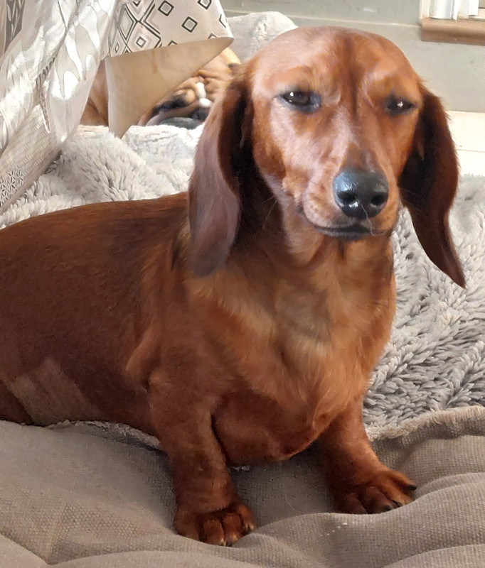 [Image: IMG-20250523-073629.jpg]