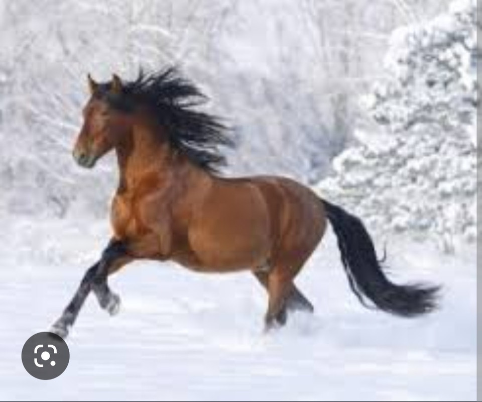 Screenshot_20221125-001535_Chrome