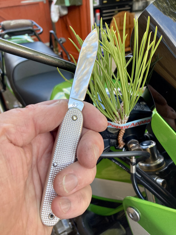 8F7FB9BD-6C3A-4355-84A6-5DB0F3EB5F4F