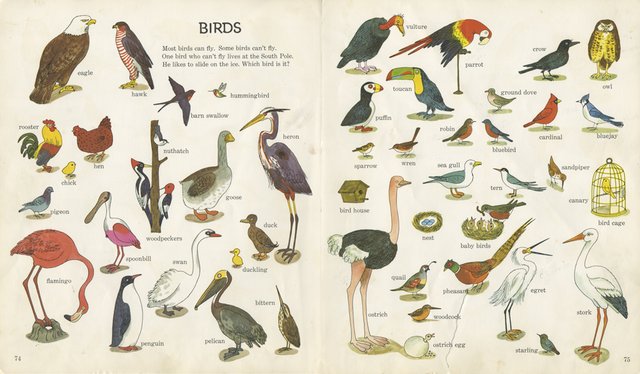 [Image: richardscarry.jpg]