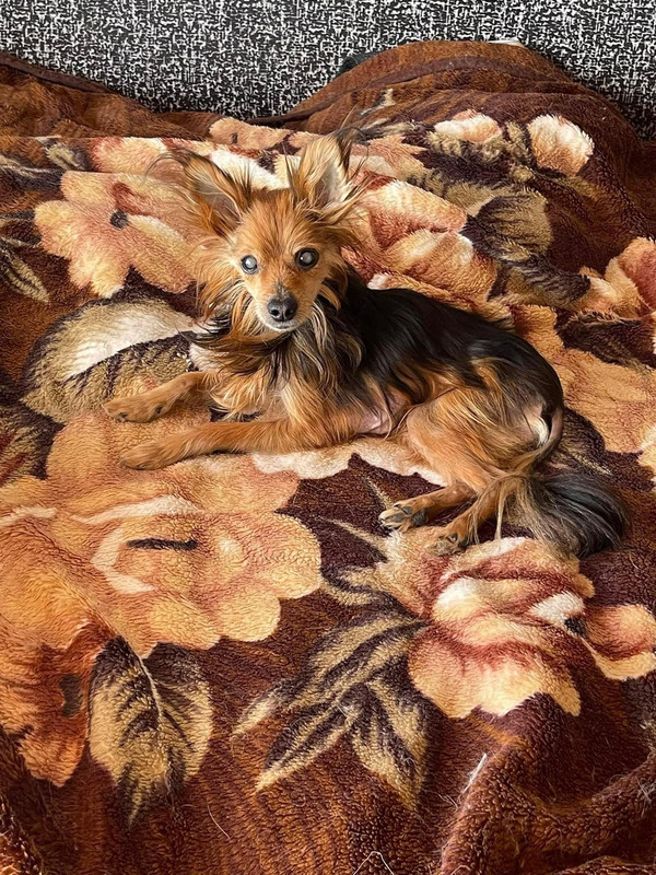 IMG-a611867cfac2c3a1ce517631b1efb3d5-V