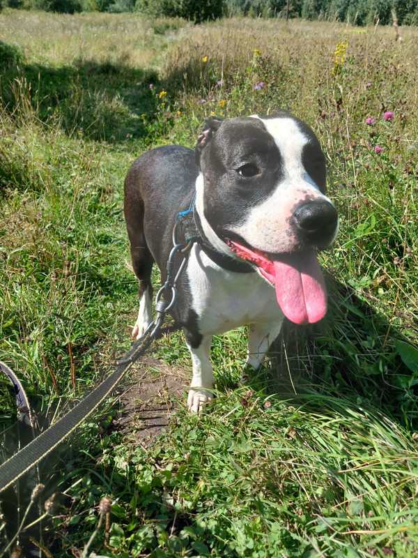 WhatsApp Image 2024-08-15 at 11.02.14 (1)