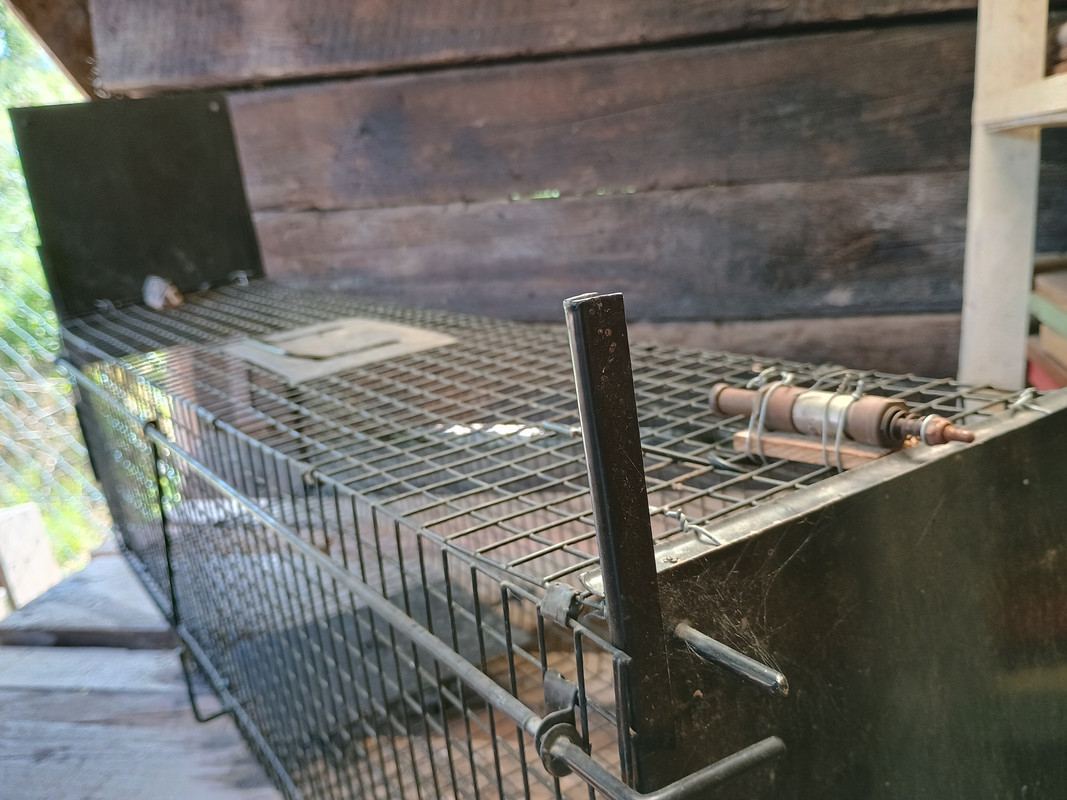 IMG_20250903_134903078_HDR