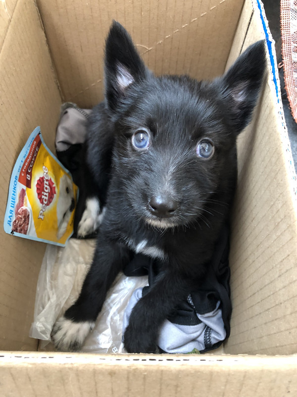 64CCE993-4072-4486-84BB-B3C16C31C63B