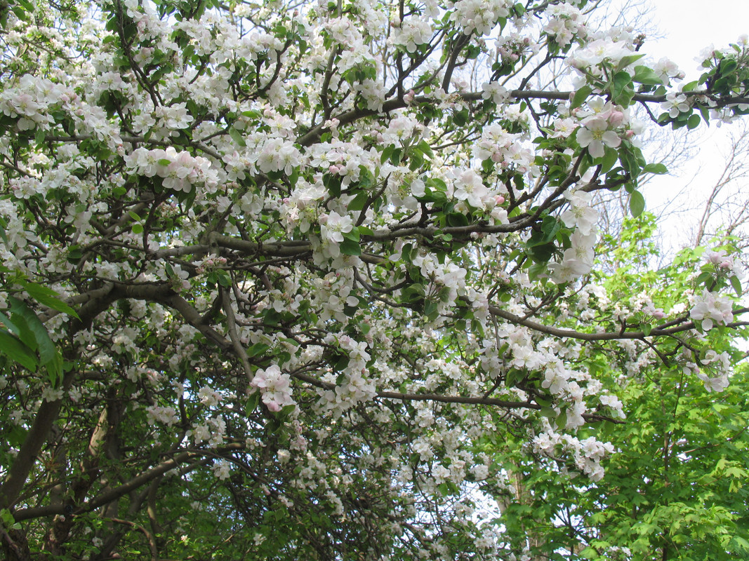 29 апреля 2024 036