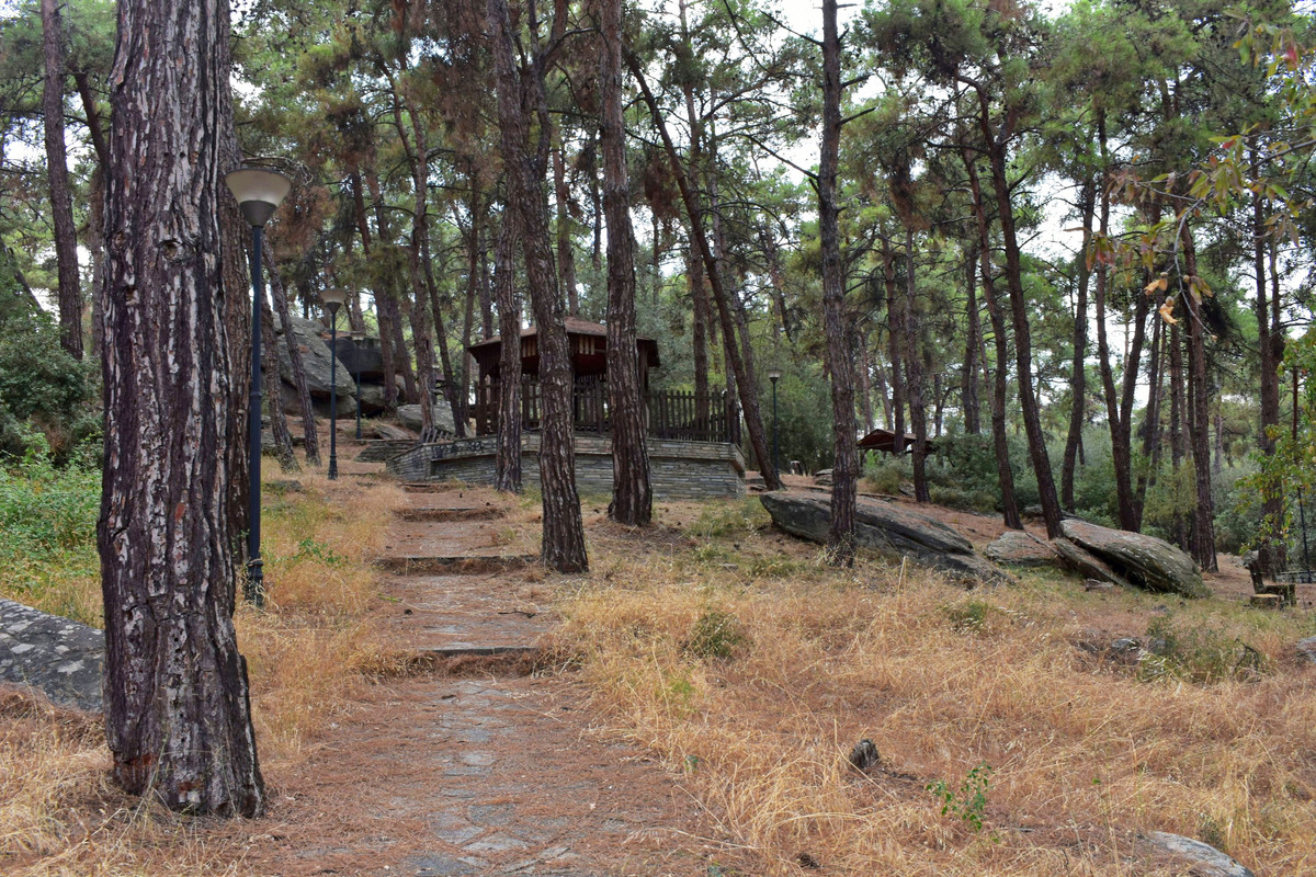 Άλσος της Παναγούδας (19)