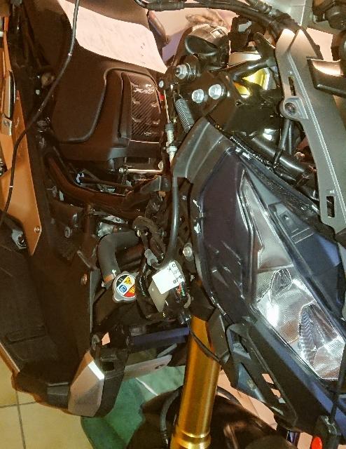 DSC_0239 (494x640) (2)