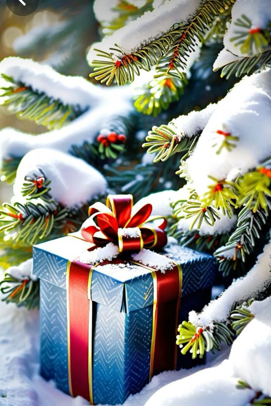 Screenshot_20231219_162411_Pinterest