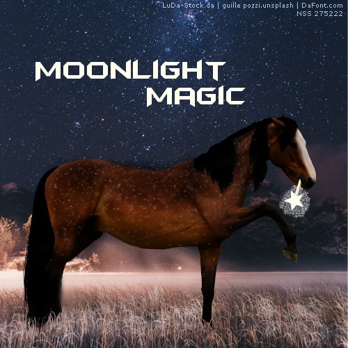 moonlight-magic.jpg