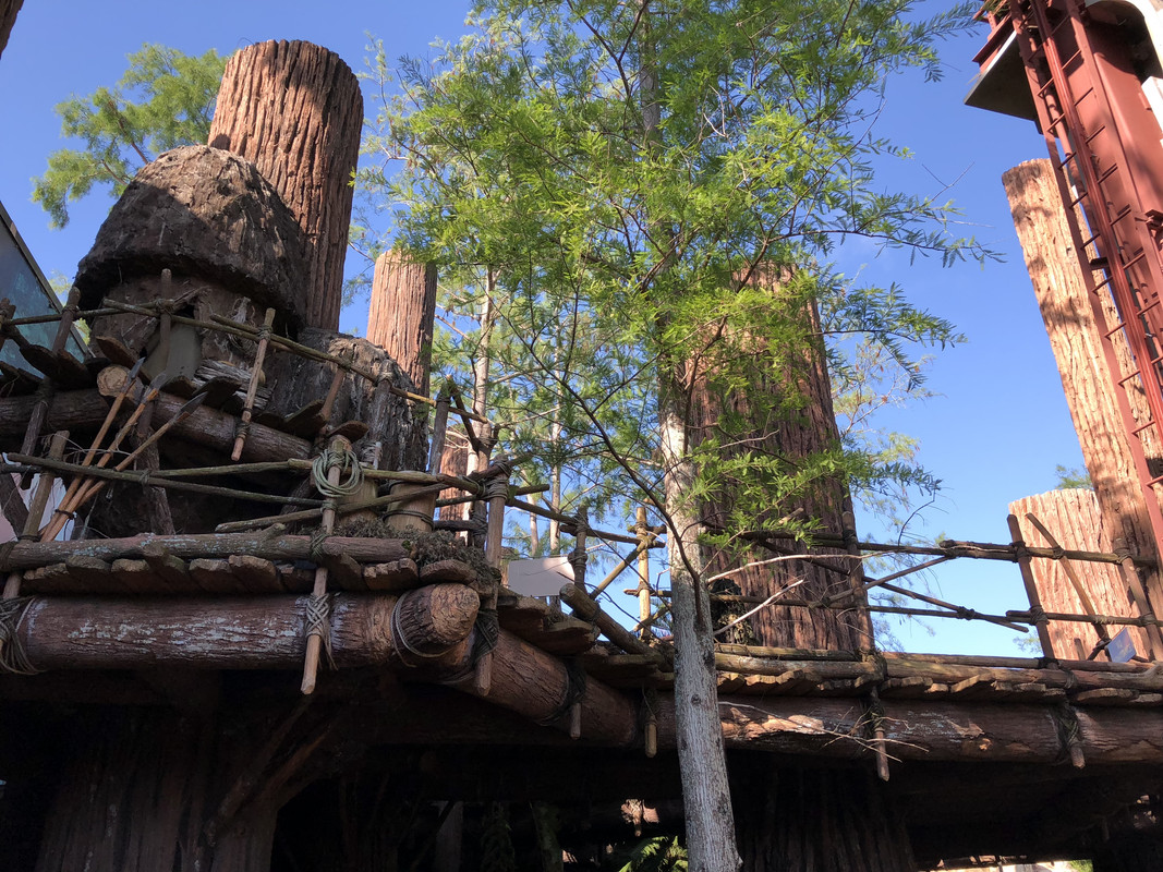 17A1605C-4745-424A-921E-4B97F8382FC3