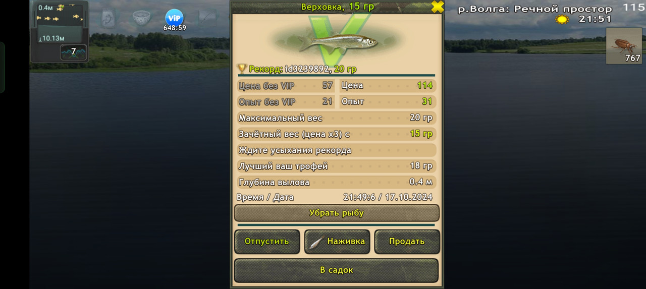 Screenshot-2024-10-17-21-49-14-96-fa28ee
