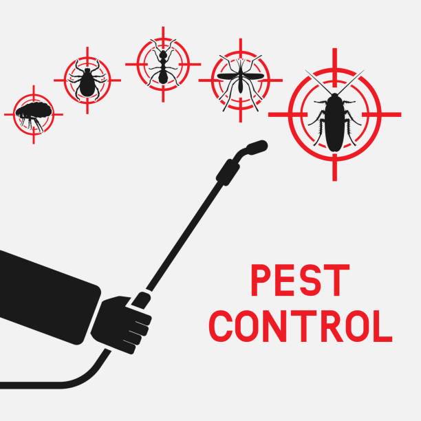 5 Benefits Of Pest Control Tampa Services