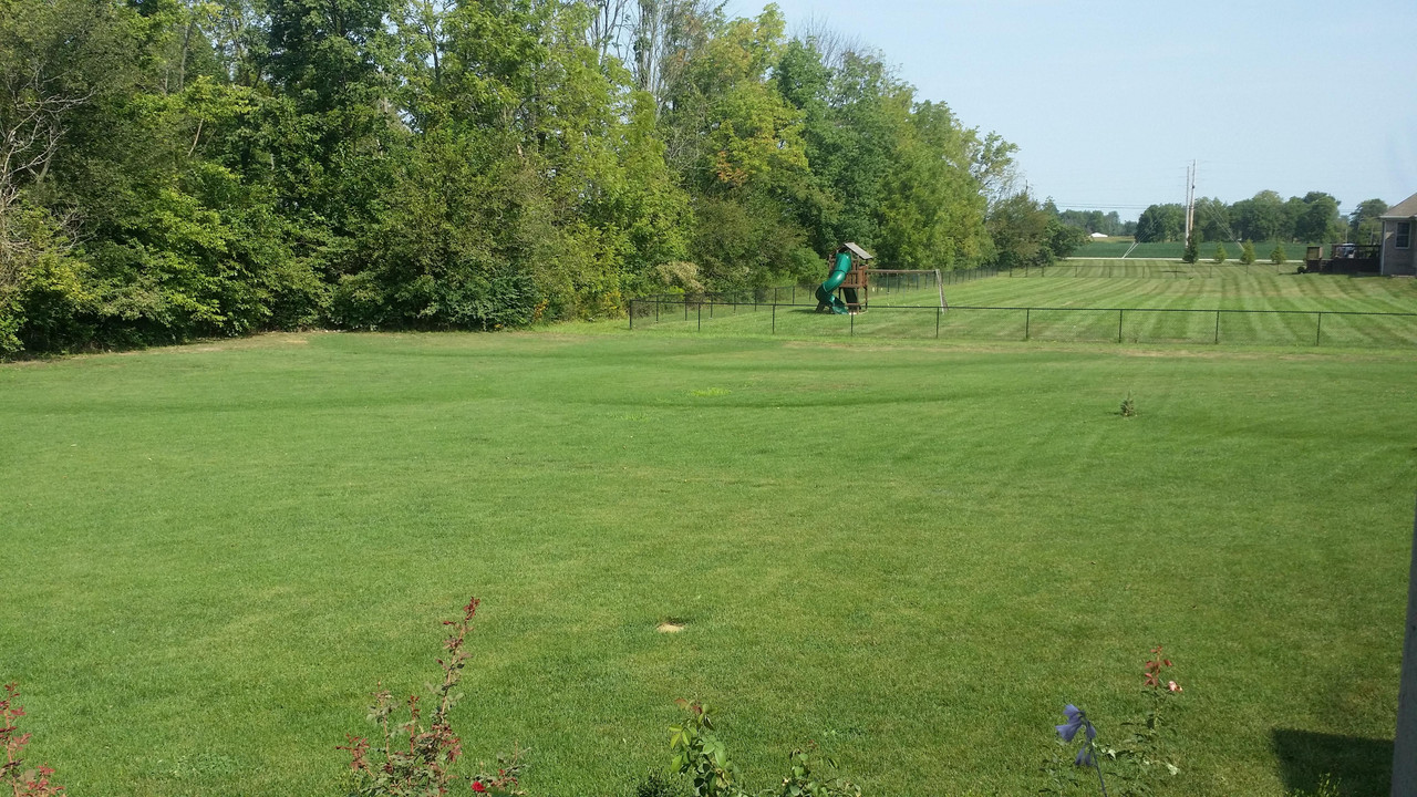 August 25, 2017 at 1116AM