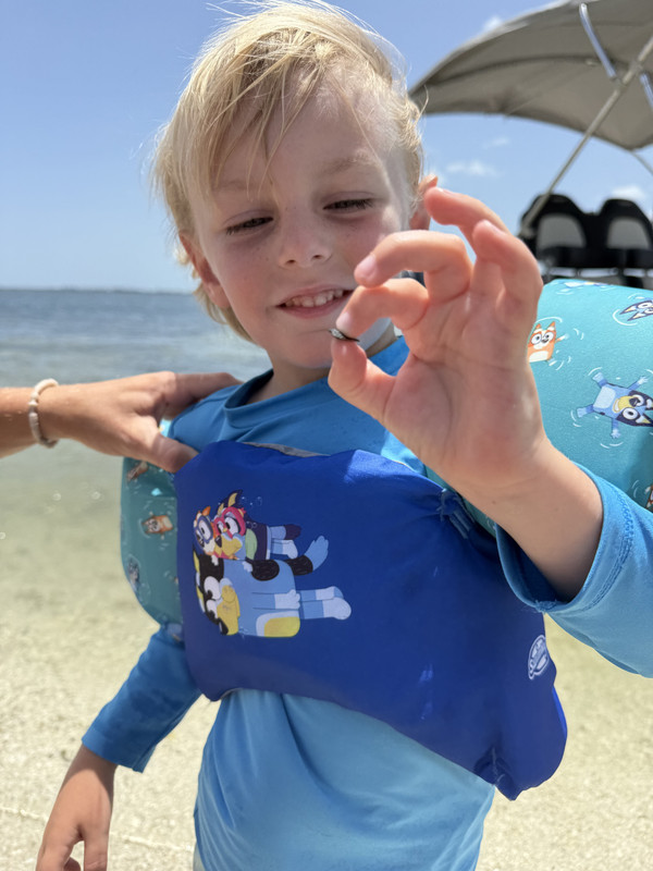 Shark Tooth Hunting