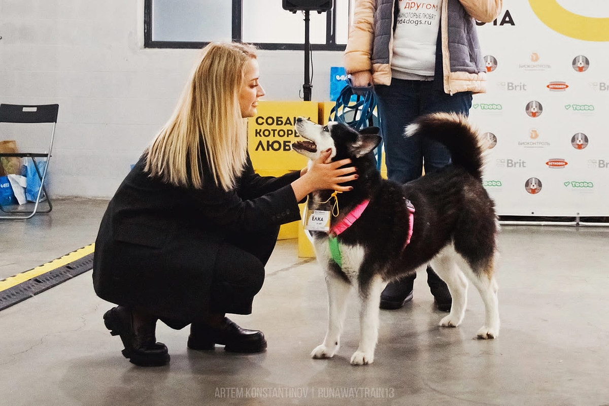 73C12768-CFEC-4DCF-8F75-EA707EC9EEC8