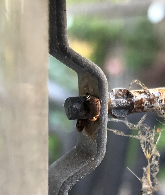 43E2B832-AA3D-4762-B755-D0704F64FA87