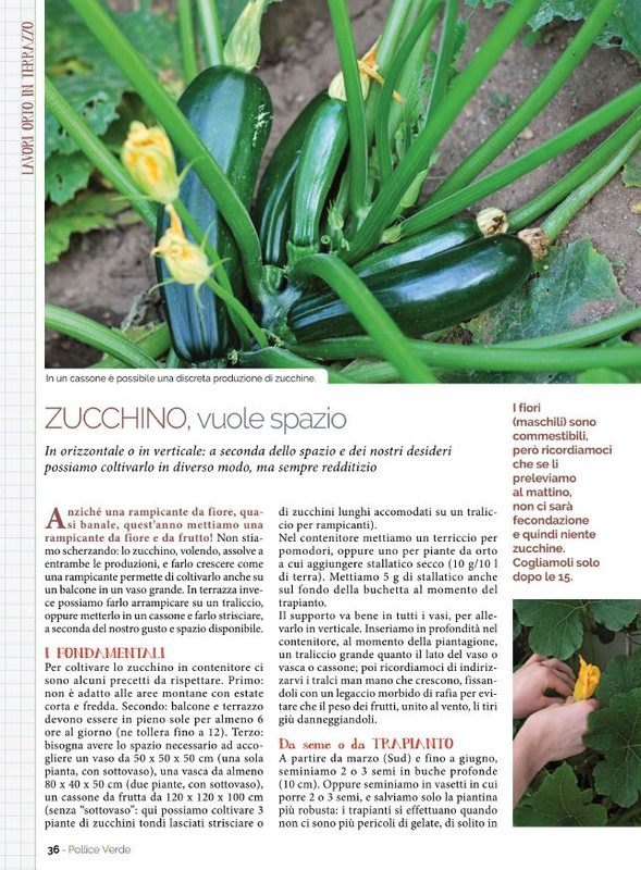 Pol Ver Mag 2022 (3)