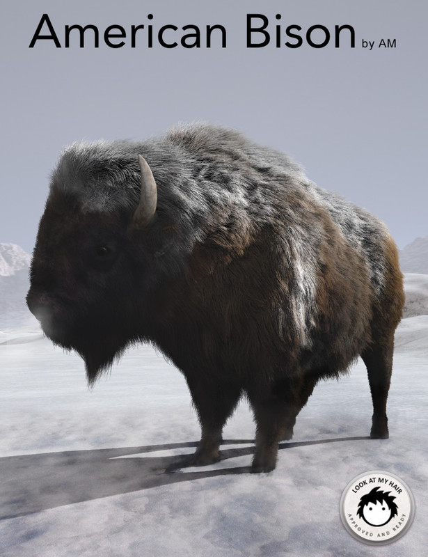 American Bison