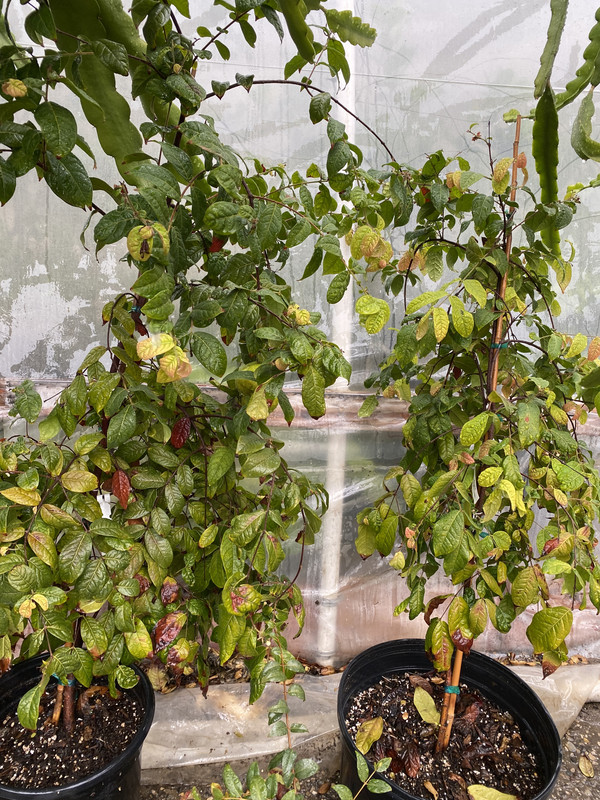 252CABA3-0ECA-4EA6-9E6B-F67736C3F1A5