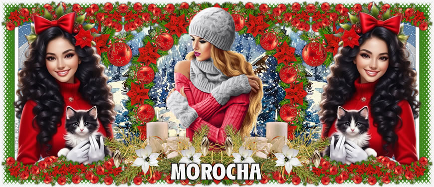 Gatet per Nadal morocha