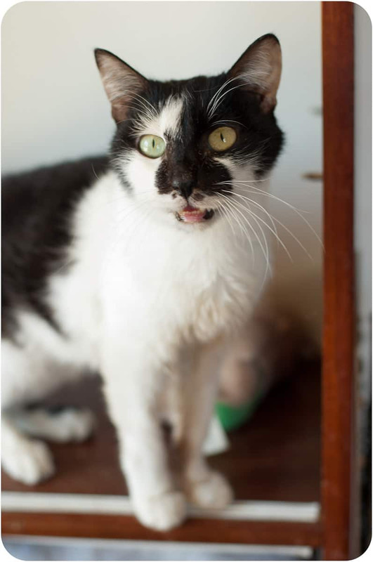 okoshko (139 of 158)