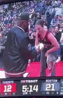 raptors5.gif