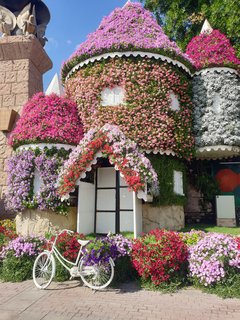 Expo 2020 de Dubai, un viaje de diez - Blogs de Emiratos A. U. - CONOCIENDO DUBAI: MIRACLE GARDEN -GLOBAL VILLAGE-IBN BATTUTA (3)