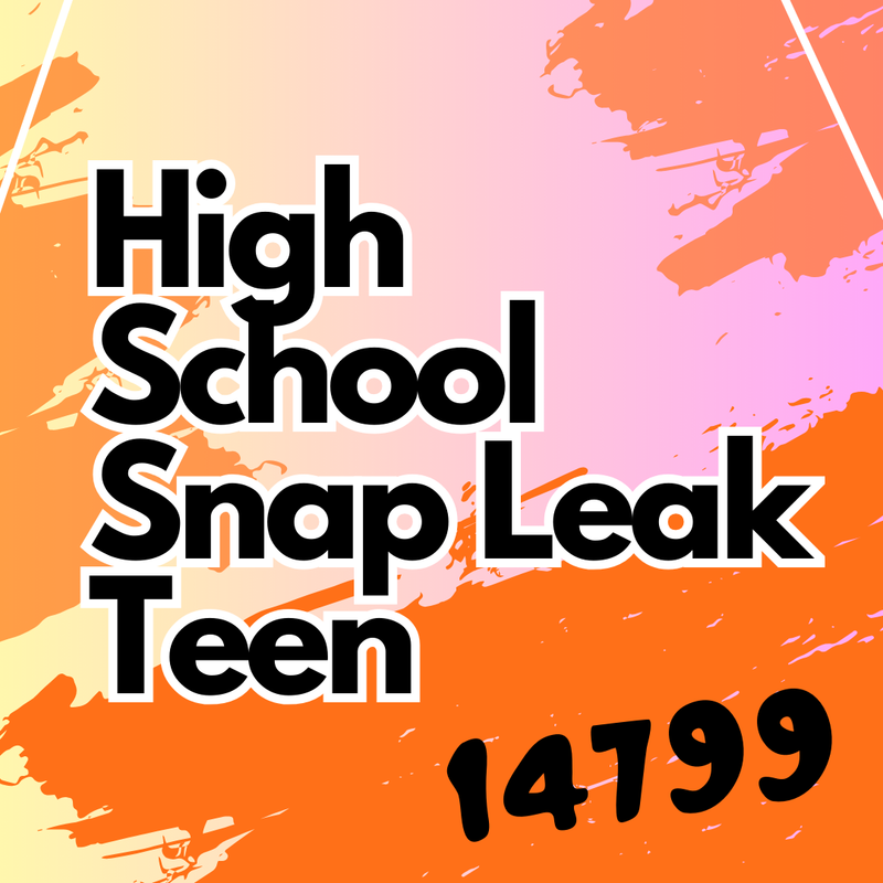 MEGA🏫 hight school snaplek teen 🏫14799