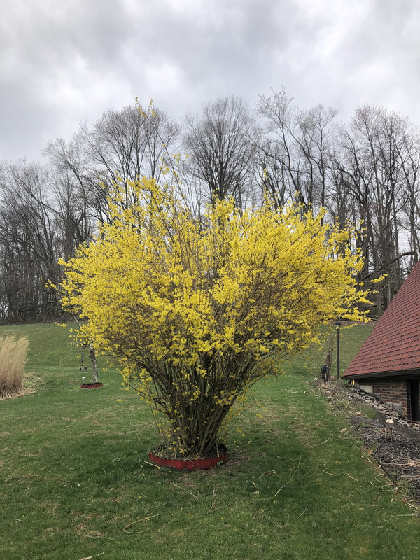 FE2F4C9D-2F1F-48DA-AC36-28649CBC8455