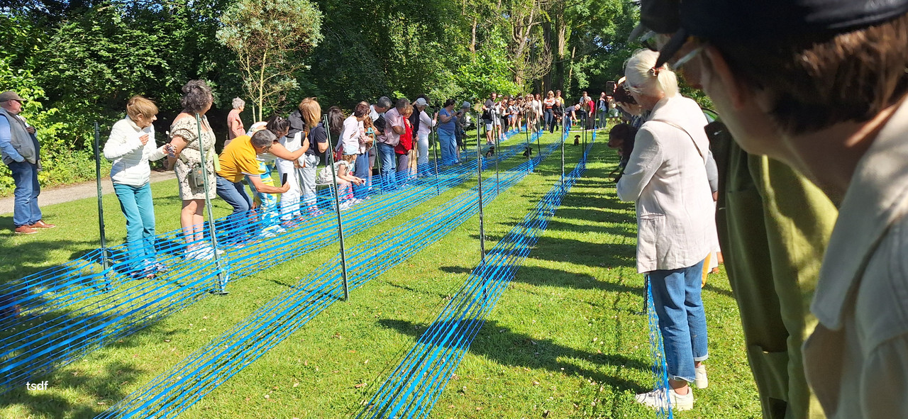 [Image: 20250615-174006.jpg]