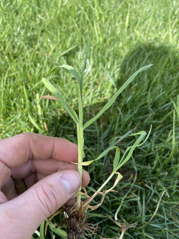 B20CA6D6-9859-488A-B43E-997B12C6338F