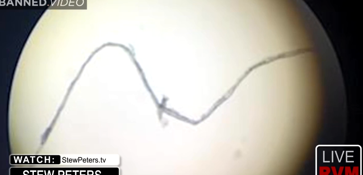 nanotubes