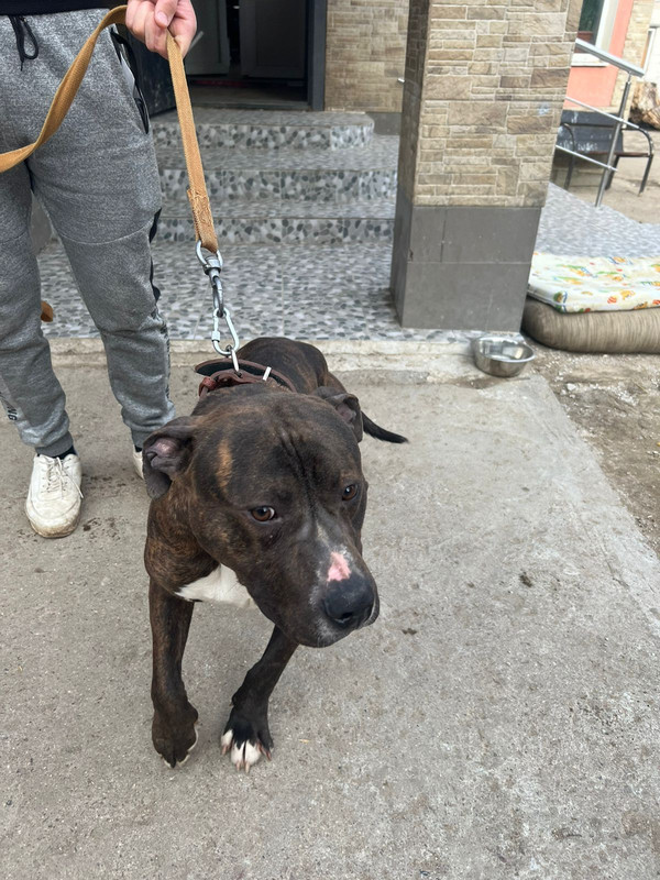 WhatsApp Image 2024-04-07 at 17.21.54 (2)