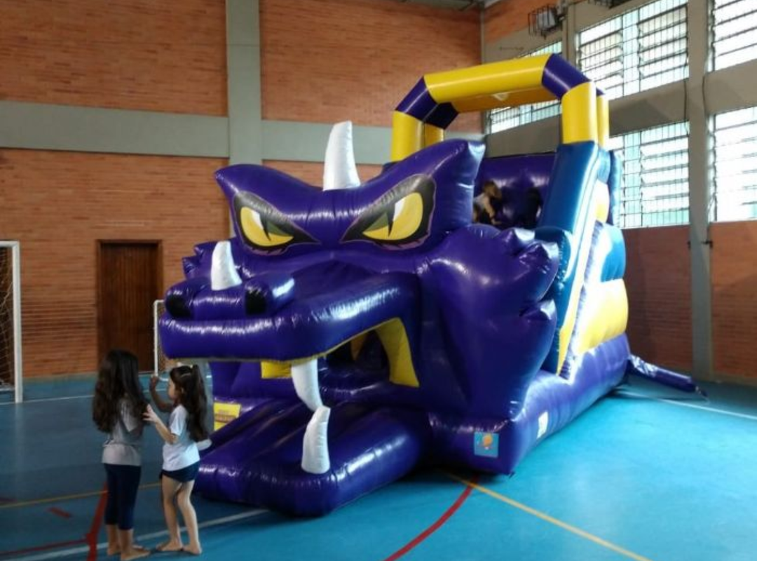 Tobogã Dragão Roxo