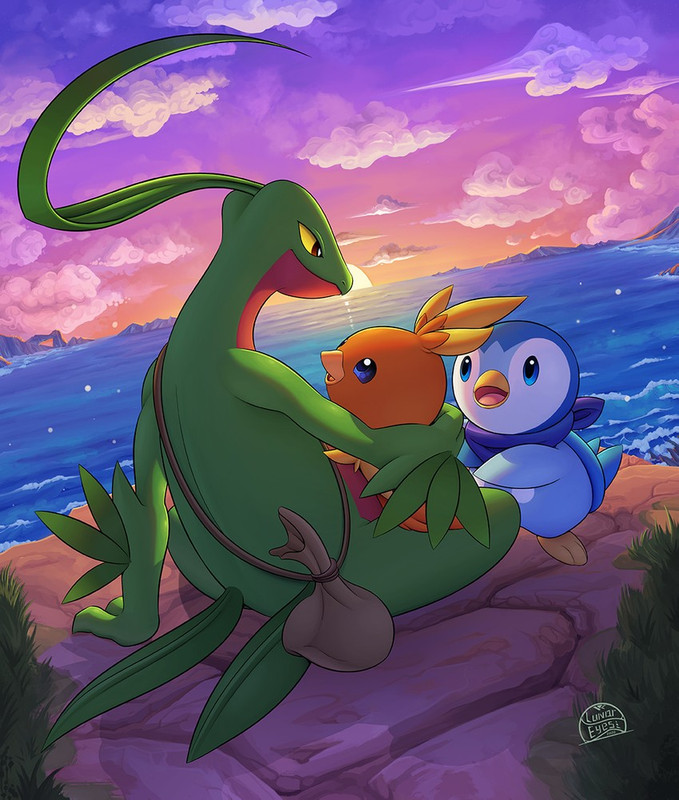 piplup-torchic-and-grovyle-pokemon-and-3