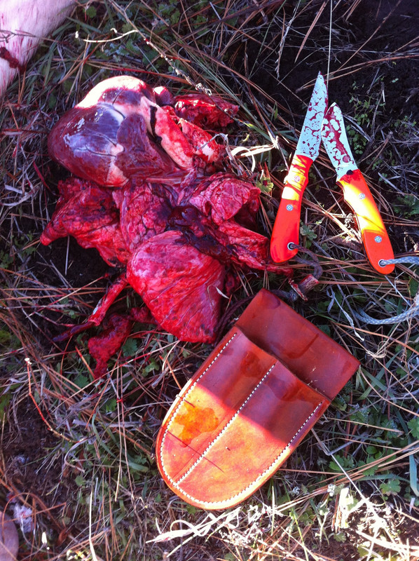 EB344DFD-458D-42A1-9423-856B66F3FA43