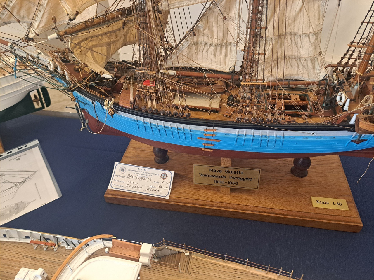 666980444 1881973152590610 196687272504189948 n