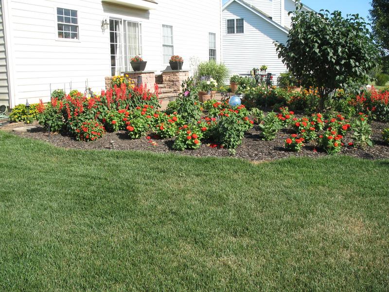 Lawn and Gardens 07.18.2018  (3)