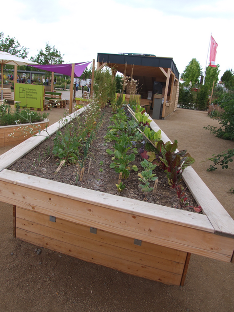 BUGA 23: Riesiges Hochbeet, aber magere Ausbeute