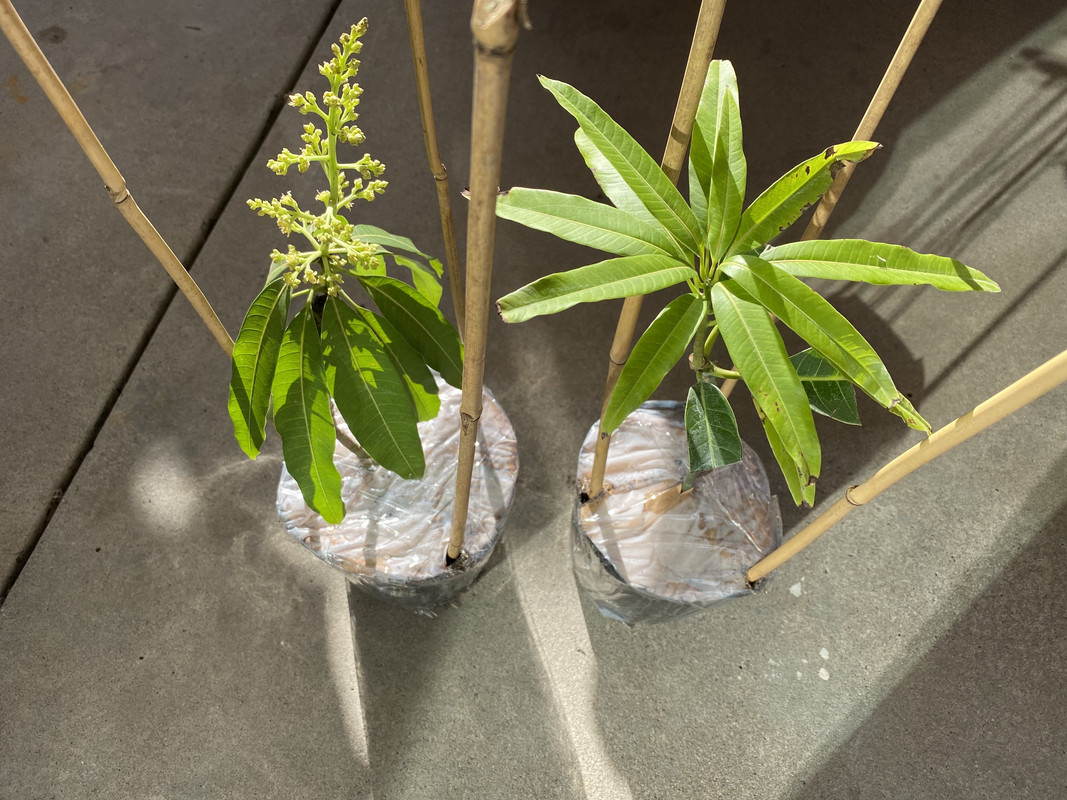 D1174B35-7B18-4F49-88CF-DA36214B7CB6