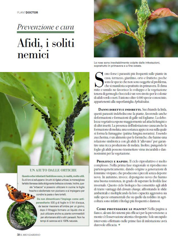 il mio Giar Apr Mag 2026 (7)