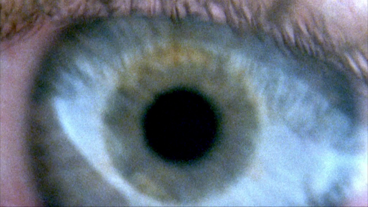 vlcsnap-2022-12-24-12h33m00s237