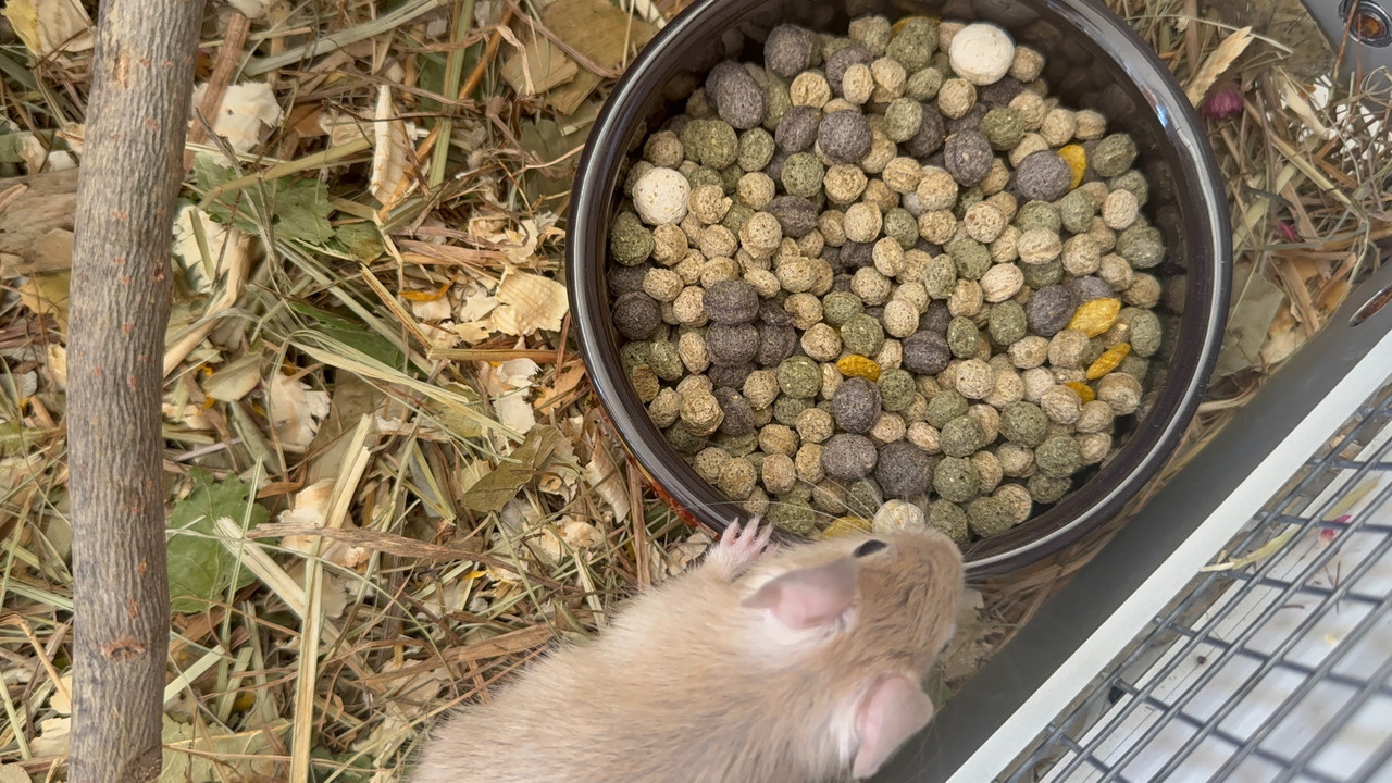 3enimgtjCOn0Q5dVtYRnPg1bYVSQT6cZm-EtpCHAHORqYMEEVe91NfNpSmcMlsnJg_1bWchPqa907s3e1FMZviIw