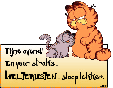 fijne-avond-welterusten-garfield