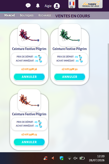 https://i.postimg.cc/85L7rpVh/Capture-d-ecran-2026-07-28-122101.png