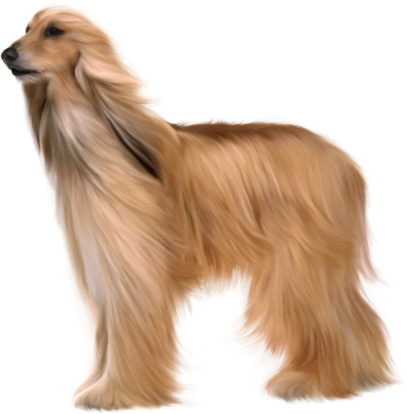 TADD_elements_LastDanceInParis (41)