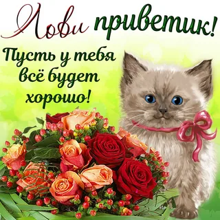 22-10-35-i.webp