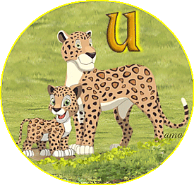 Serie Flia: Madre e Hijo, Los leopardos U