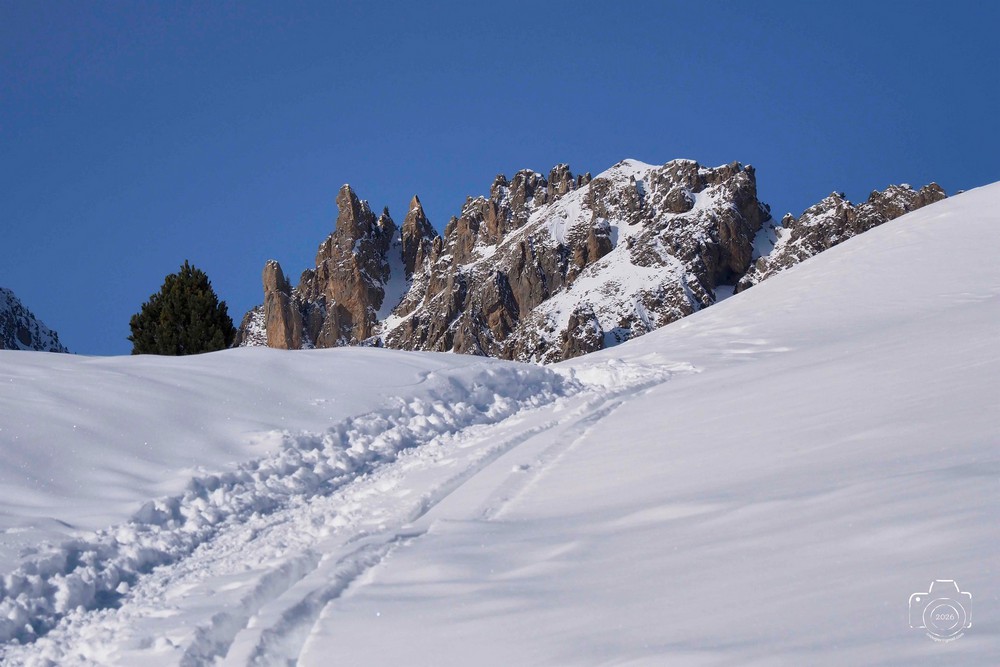 616569109-25480078781615035-2043765363137644502-n